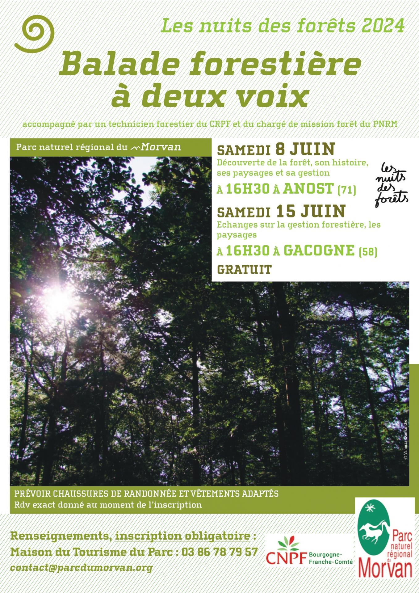 nuit des forets